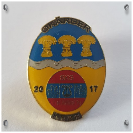 PIN 2017 PIN 2017