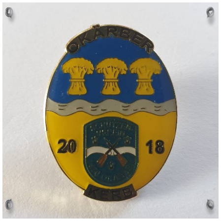 PIN 2018